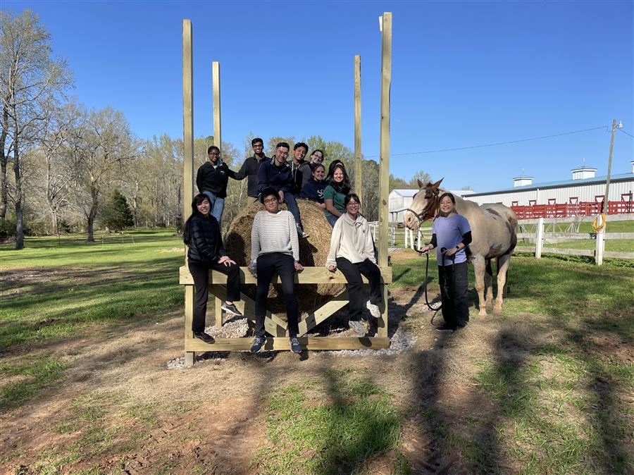 The 12 volunteers pose on a horse feeder they built.