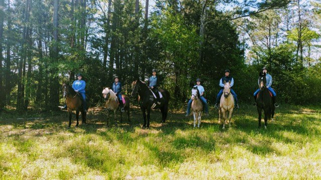 Six horses with riders standing in a line in a field in front of trees. Six horses with riders standing in a line in a field in front of trees.