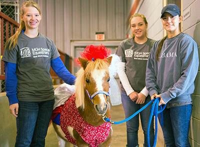 Three female volunteers smile as they display an MGHSE pony wearing red, white and blue for Veteran's Day 