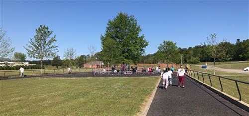 landscape view of walking track 